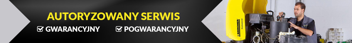 Serwis
